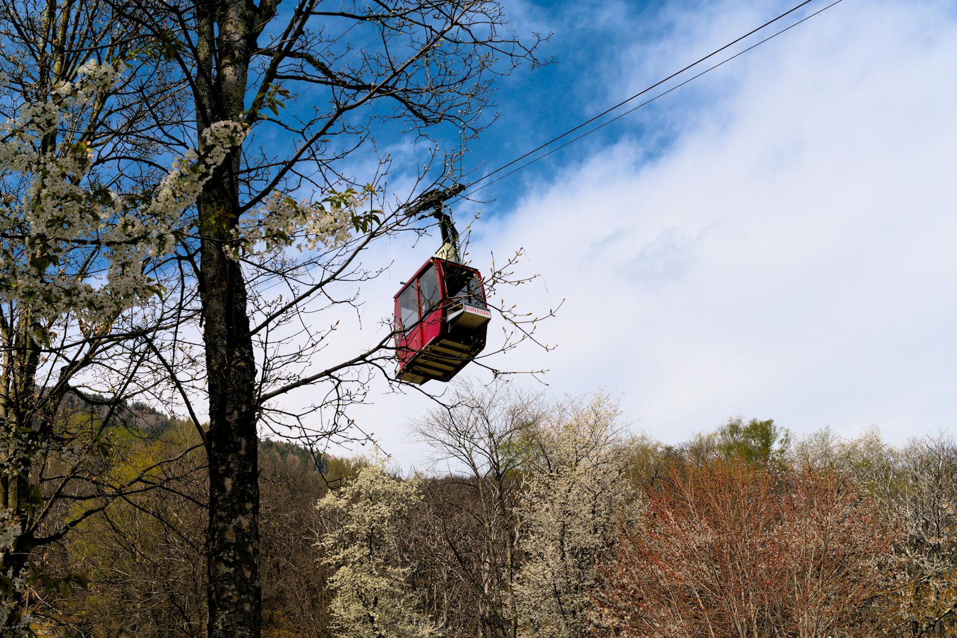 Eine Reisende hält einen Lucerne Travel Pass in der Hand vor der Kulisse eines Schweizer Bergzugs und eines Sees, symbolisiert die einfache Mobilität in der Zentralschweiz.