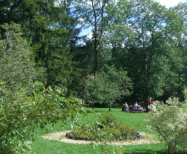 Two green metal bistro chairs and a round table set on a garden path surrounded by tall trees.