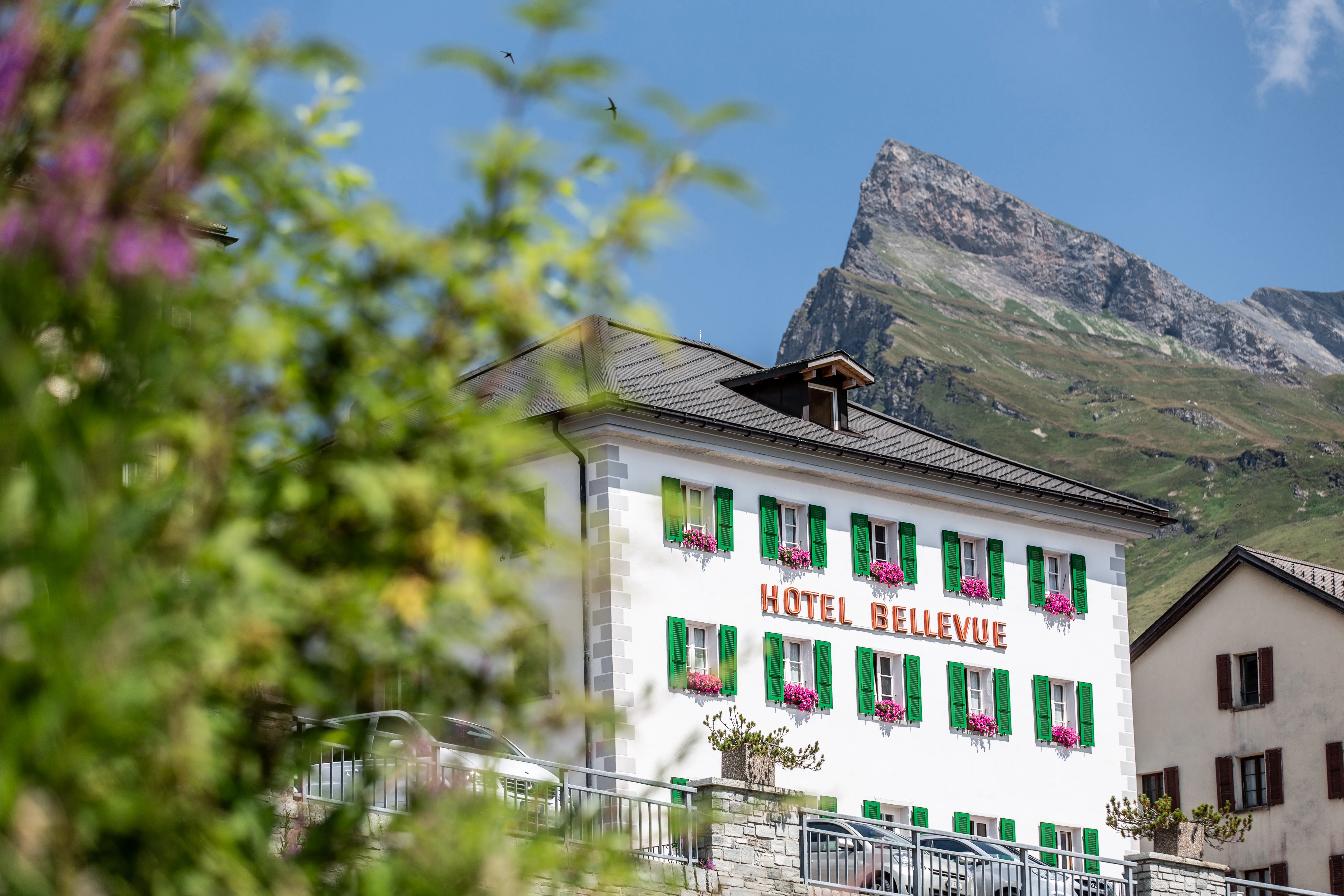 Hotel Bellevue white facade with green shutters and pink flowers against dramatic Alpine mountain backdrop in summer.